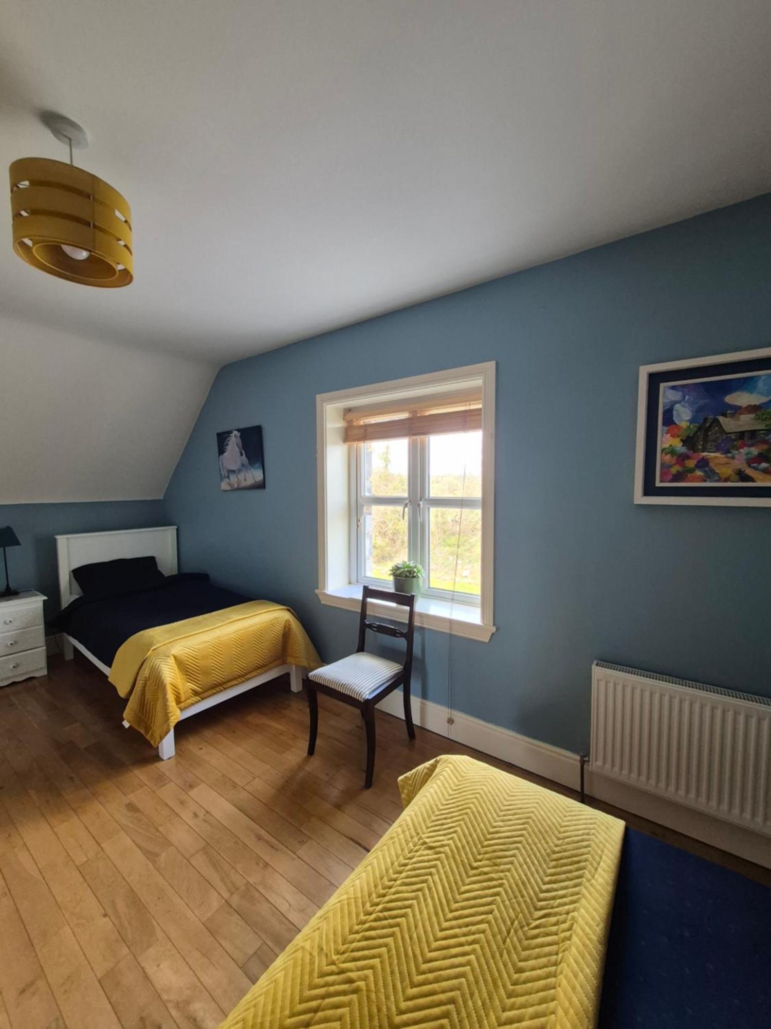 Ballinasloe Guest House In The Heart Of The Country エクステリア 写真